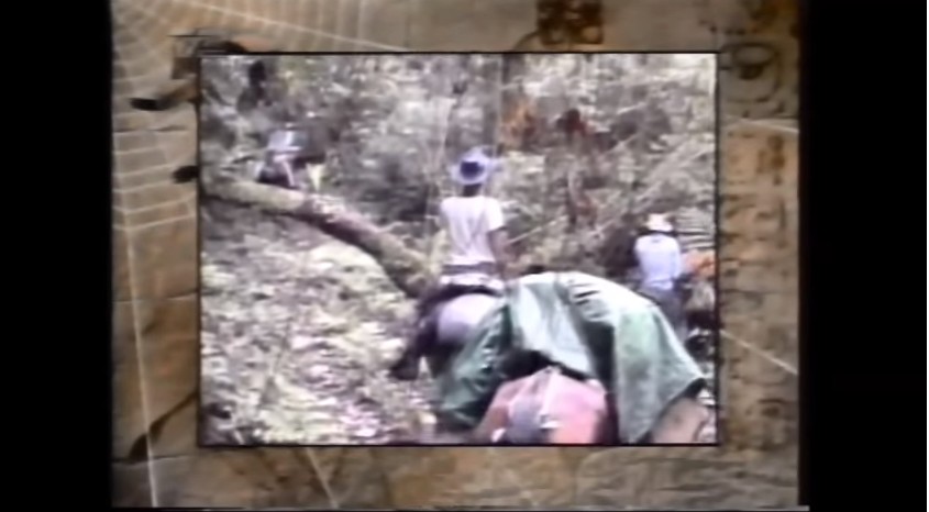 TV Syd 1994
